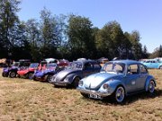 Beetle Show Rioz (9)